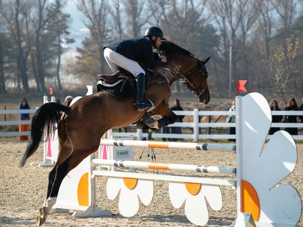 Guide d'achat de matériel de basket féminin